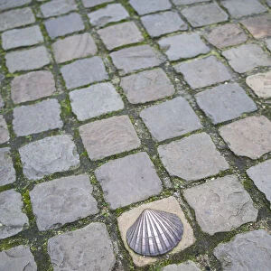 Belgium, Bruges, bronze seashell marking of the Camino de Santiago religious pilgrimage