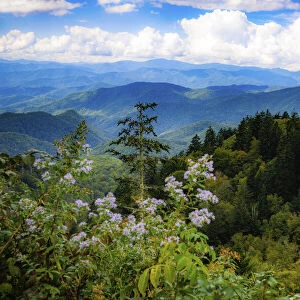 Blue Ridge Parkway vista, Smoky Mountains, USA