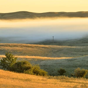 Canada, Saskatchewan, Beechy. Fog over prairie at sunrise
