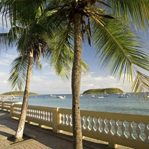 Caribbean, Puerto Rico, Vieques, Esperanza. Malecon (boardwalk) with palm trees
