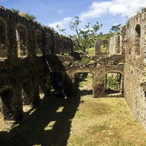 Caribbean: US Virgin Islands, St Croix, Mt Victory, estate ruins, March