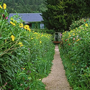Claude Monet Collection: Giverny gardens