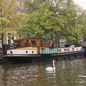 A colorful houseboat with a white swan swimming near