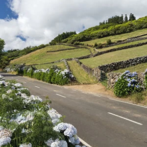 Country road in the interior of the Terceira Island, Azores, Portugal