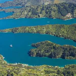 Double Cove and Lochmara Bay (top), Marlborough Sounds, South Island, New Zealand