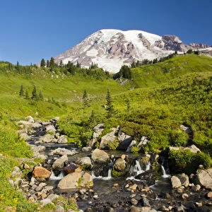 Edith Creek; Mount Rainier from Paradise; Mount Rainier National Park; Washington; USA