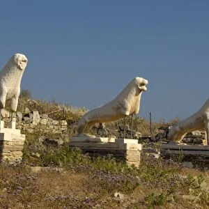 Europe, Greece, Cyclades, Delos. Famous 7th century Lions of the Naxians