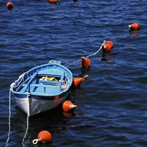 Europe, Italy, Cinque Terre. Rowboat and buoys