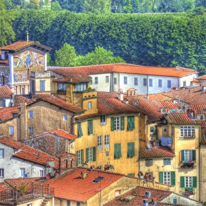 Europe; Italy; Lucca; Roof Tops of Lucca