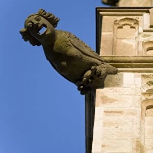 Gargoyle on Gothic tower of Altes Rathaus (city hall), old quarter of city, Cologne