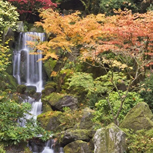 Heavenly Falls and autumn colors, Portland Japanese Garden, Oregon