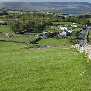 Irish Countryside, Ireland, Farm, Stonefence
