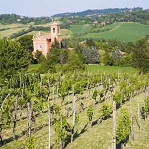 Italy, Bologna, View through Vineyard to Chiesa Di Casaglia