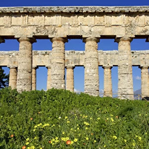 Italy, Sicily: Segesta The greek temple is made of 36 columns