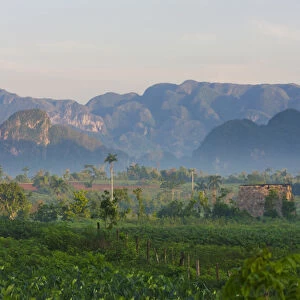 Limestone hill, farming land in morning mist, Vinales Valley, UNESCO World Heritage site