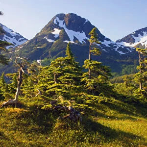 Mount Eccles Near Cordova, Alaska