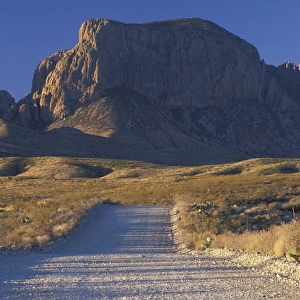 N. A. USA, Texas. Big Bend National Park. Chisos Mountains, Government springs road
