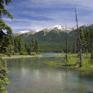 The outlet creek of Holland Lake in the Flathead National Forest near Condon, Montana