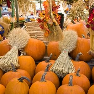 Pumpkins and autum display at the By Market in Ottawa, Ontario, Canada