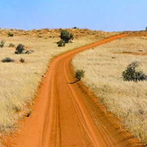 Red sand road in Kgalagadi Transfrontier Park, South Africa