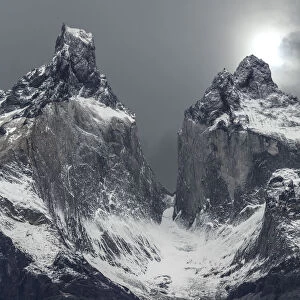 South America, Chile, Patagonia. Andean condor and mountains in Torres del Paine National