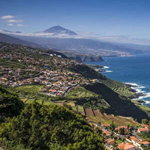 Spain, Canary Islands, Tenerife Island, El Sauzal, elevated view of the west coast