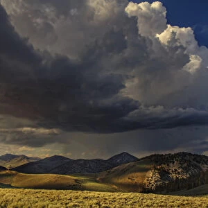 Storm clouds rolling in at sunset, White Mountains, Inyo National Forest, California