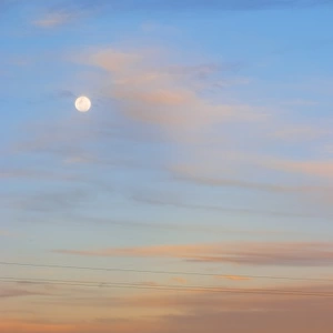At sunset in the vineyard, the full moon is rising and the sky is a vibrant blue and orange