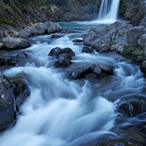 Tawhai Falls, Whakapapanui Stream, Tongariro National Park, Central Plateau, North Island