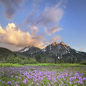 USA, Idaho. McGown Peak Sawtooth Mountains