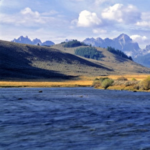 USA, Idaho, Sawtooth NRA. The Salmon River courses wide and azure before the rugged