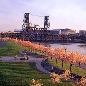 USA, Oregon, Portland, Paths of Tom McCall Waterfront Park, with the Steel Bridge