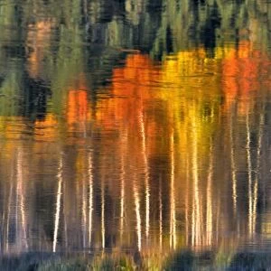USA, Oregon, Williamson River. Fall colors reflect in the Williamson River in southern Oregon