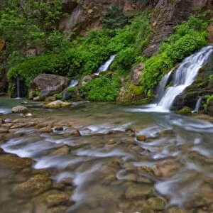 USA, Utah, Zion National Park. Big Springs in the Virgin River Narrows