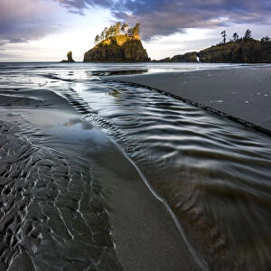 USA, Washington State, Olympic Peninsula. Second beach sunrise
