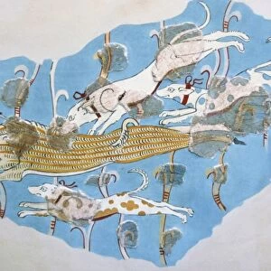 Wild boar hunting. Fresco dated between 14th and 13th century BC. Second palace of Tiryns