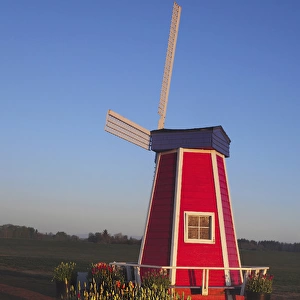 Wind Mill at the Tulip Festival, Woodburn, Oregon, USA