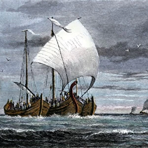 Viking ships