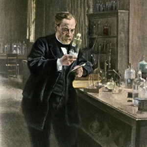 Scientists Collection: Louis Pasteur
