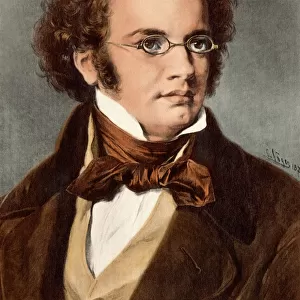 Composers Collection: Franz Schubert