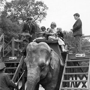 Waiting for an elephant ride