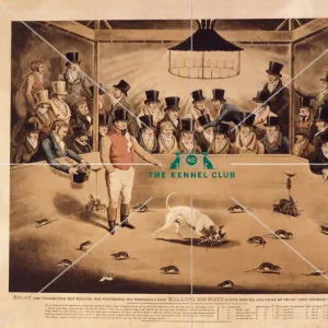 : The Kennel Club Art Collection