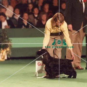 : Crufts 1990s