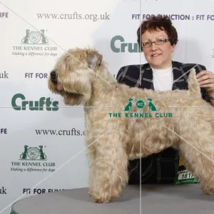 : Crufts 2009