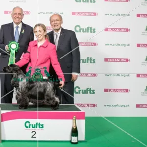 : Crufts 2018