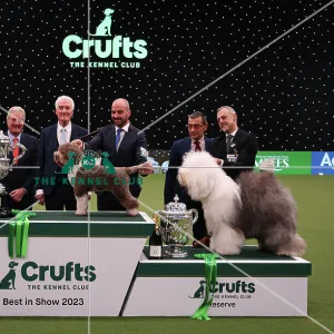 : Crufts 2023