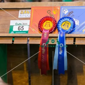 Ribbon winner