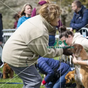 Scruffts Newbury 2019