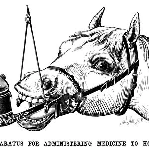 Apparatus for administering medicine to horses. Wood engraving, American, 1878