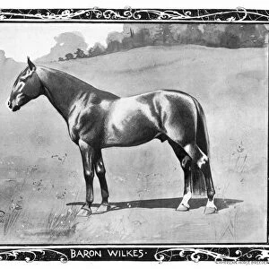 BARON WILKES, 1902. American standardbred racehorse. Illustration with portraits of his trainer